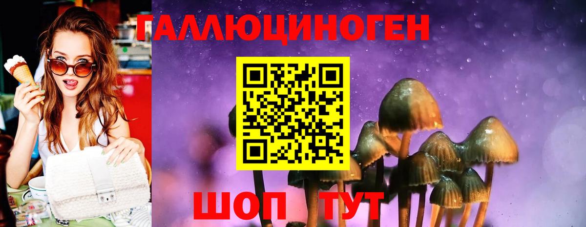 ГАШИШ Хасавюрт