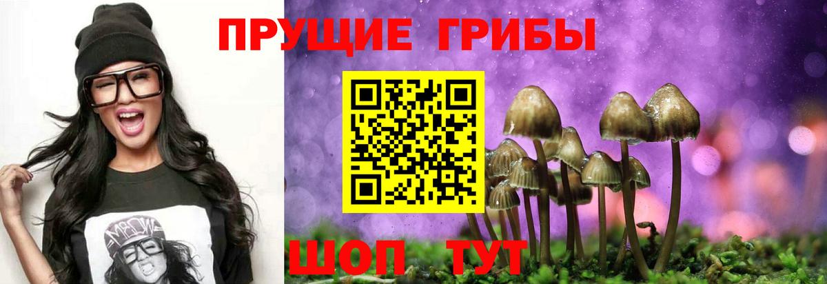 Галлюциногенные грибы прущие грибы  Вход с VPN  Хасавюрт  Галлюциногенные грибы мицелий 